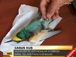 Φωτογραφία για Πουλί ύποπτο για… κατασκοπεία στην Τουρκία