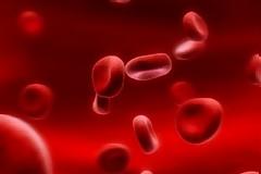 Αλήθειες που δεν γνωρίζατε για το σώμα σας