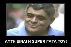 Η γάτα του Μιχαλολιάκου (Photo)