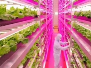 Φωτογραφία για Ιαπωνία: Το πρώτο πλήρως αυτοματοποιημένο αγρόκτημα στον κόσμο θα λειτουργήσει το 2017