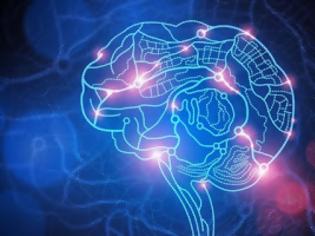 Φωτογραφία για «Διαβάζοντας τη σκέψη» με υπολογιστές: Αποκωδικοποίηση εγκεφαλικών σημάτων στην ταχύτητα της αντίληψης