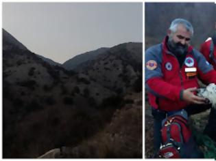 Φωτογραφία για Σκύλος έπεσε σε χαράδρα στην ορεινή Ξάνθη - Σώθηκε από την Ελληνική Ομάδα Διάσωσης [photos]