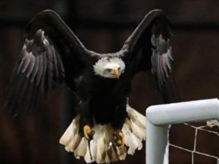 Φωτογραφία για Ο αετός του ΠΑΟΚ θα πετάει πάνω από τη Τούμπα