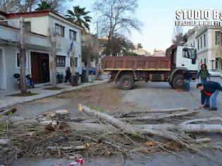 Φωτογραφία για Καθαρισμός της εισόδου του Ναυπλίου από το Δήμο Ναυπλιέων