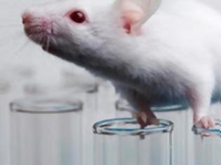 Φωτογραφία για Εκπληκτικό: Ρώσοι επιστήμονες μεταμόσχευσαν τον πρώτο 3D εκτυπωμένο θυρεοειδή σε ποντίκι