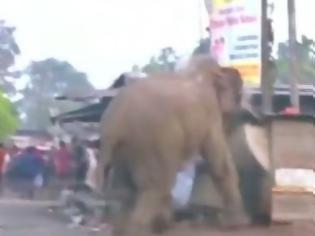 Φωτογραφία για Βίντεο: Ελέφαντας σε κατάσταση αμόκ ισοπεδώνει χωριό