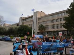 Φωτογραφία για Διαμαρτυρήθηκαν για την αιχμαλωσία και την κακοποίηση των δελφινιών και στην Ελλάδα [video]
