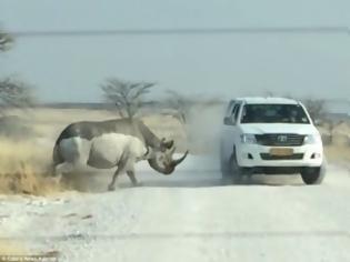 Φωτογραφία για Συγκλονιστικό βίντεο: Η στιγμή που ένας ρινόκερος επιτίθεται σε τζιπ με τουρίστες... [video]