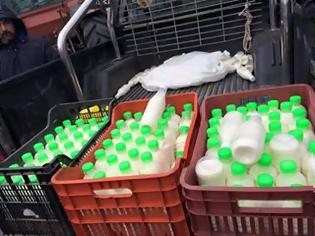 Φωτογραφία για Κατάληψη στο Διοικητήριο Ξάνθης από τους αγρότες – Μοίρασαν γάλα και φασόλια
