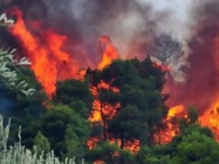 Φωτογραφία για Φωτιά σε δύσβατη περιοχή της Κρήτης...
