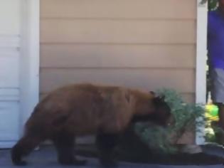 Φωτογραφία για Απίστευτο βίντεο: Τι κάνει ένας άνθρωπος και μια αρκούδα όταν έρχονται... πρόσωπο με πρόσωπο; [video]