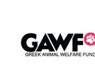 Φωτογραφία για Η GAWF/Animal Action δρα για τα αδέσποτα ζώα της Λαμίας
