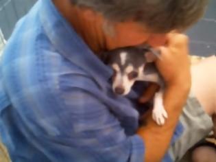 Φωτογραφία για Θα δακρύσετε: Δείτε τι αντίδραση έχει ένας σκύλος που για πρώτη φορά στη ζωή του τον παίρνουν αγκαλιά... [video]