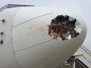 Φωτογραφία για Τραγωδία στον αέρα: Αεροπλάνο συγκρούστηκε με... πουλί και... [photo]