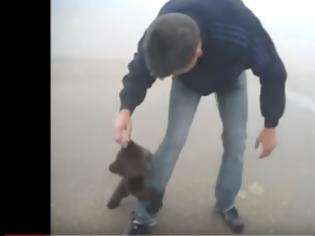 Φωτογραφία για Απίθανο βίντεο: Επίθεση αγάπης από μια μικρή αρκουδίτσα που θα σας συγκινήσει... [video]