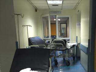 Φωτογραφία για Απίστευτο: Ψύλλοι στο νοσοκομείο Κιλκίς! Στο πόδι οι εργαζόμενοι