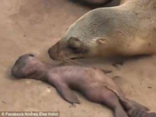 Φωτογραφία για Συγκλονιστικό βίντεο: Δείτε πώς θρηνεί η μάνα δίπλα στο νεκρό παιδί της... [video]