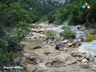 Φωτογραφία για Δάση και νερό στον Πάρνωνα - Παγκόσμια ημέρα Δασοπονίας 2016