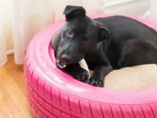 Φωτογραφία για Φτιάξτε ένα όμορφο κρεβάτι σκύλου από παλιό λάστιχο αυτοκινήτου [video]