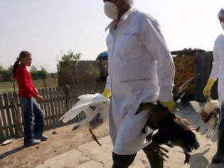 Φωτογραφία για Σε ποια χώρα εντοπίστηκε νέο κρούσμα γρίπης των πτηνών;