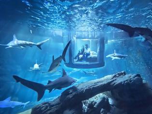Φωτογραφία για Υποβρύχιο δωμάτιο για διαμονή… δίπλα σε καρχαρίες!