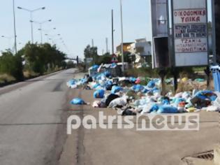 Φωτογραφία για Ηλεία: Ξεκινά επιτέλους η μαζική αποκομιδή απορριμμάτων...