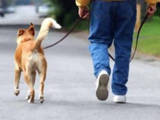 Φωτογραφία για Πώς μπορεί να σας σώσει τη ζωή μία βόλτα με τον σκύλο