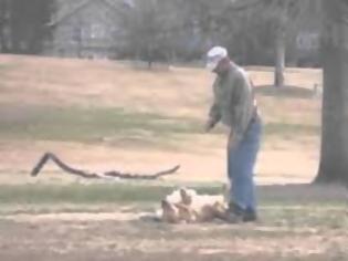 Φωτογραφία για Απίθανο βίντεο: Δείτε τι έκανε αυτός ο σκύλος για να μην φύγει από το πάρκο... [video]