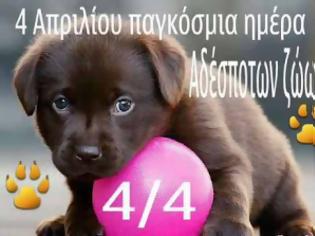 Φωτογραφία για Η 4η Απριλίου επιλέχθηκε ως Παγκόσμια Ημέρα Αδέσποτων Ζώων