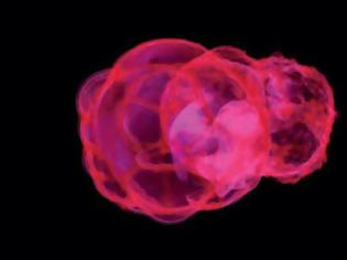 Φωτογραφία για Οι εκρήξεις σούπερ-νόβα που «ράντισαν» τη Γη με κοσμική ακτινοβολία