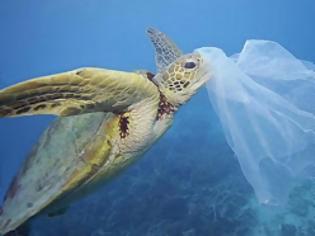 Φωτογραφία για 1ο Φόρουμ Διαβούλευσης για την μείωση της χρήσης πλαστικής σακούλας