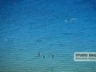Φωτογραφία για Ναύπλιο: Ξεκίνησαν τα μπάνια στη θάλασσα... [photos]