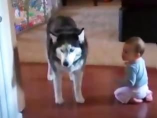 Φωτογραφία για Γέλιο μέχρι δακρύων με το διάλογο ενός μωρού με τον σκύλο του... [video]