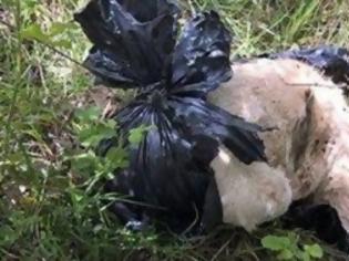 Φωτογραφία για Γιάννενα: Βρήκε τον σκύλο νεκρό κλεισμένο σε μαύρη σακούλα δεμένη με σύρμα