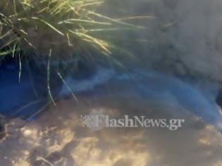 Φωτογραφία για Kρήτη: Με κρυφό σωλήνα διώχνουν τα λύματα σε παραλία