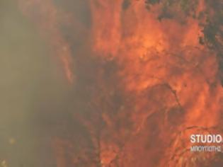 Φωτογραφία για Μεγάλη φωτιά στα σύνορα Αργολίδος Κορινθίας [photos]