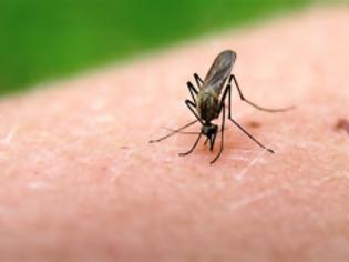 Φωτογραφία για Ανακοίνωση του Τμήματος Περιβάλλοντος για τα μέτρα προστασίας από τα κουνούπια