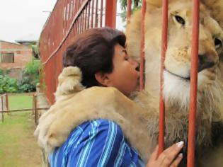 Φωτογραφία για Απίστευτο βίντεο: Δείτε τι έκανε αυτό το λιοντάρι όταν είδε... τη γυναίκα που το έσωσε [video]