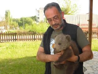 Φωτογραφία για Βρέθηκε ένα πανέμορφο αρκουδάκι στην Καστοριά