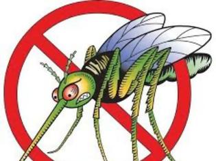 Φωτογραφία για Ορίστε πως θα διώξετε τα κουνούπια μια για πάντα...