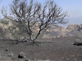 Φωτογραφία για Κρήτη: Κρανίου τόπος η Ανατολή Ιεράπετρας - Ανυπολόγιστες οι ζημιές [photos]