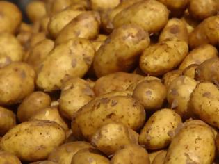 Φωτογραφία για Μεγάλη προσοχή: Αυτές είναι οι πατάτες που ΔΕΝ ΠΡΕΠΕΙ να τρώτε [photo]
