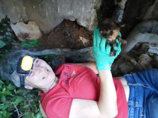 Φωτογραφία για Καρδίτσα: Έσωσαν το γατάκι που είχε παγιδευτεί σε σωλήνα και κινδύνευε να πνιγεί
