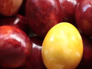 Φωτογραφία για Βάψτε τα αυγά σας με... φλούδες από κρεμμύδια! [video]
