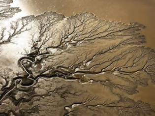 Φωτογραφία για Τα περίεργα δέντρα του ποταμού Κολοράντο [photo]