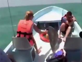 Φωτογραφία για Moναδικό βίντεο: Δελφίνι προσγειώνεται μέσα σε… βάρκα! [video]