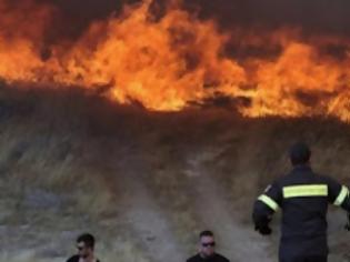 Φωτογραφία για Κρήτη: Επίσημη έναρξη της αντιπυρικής περιόδου-  Τέλος οι φωτιές στην ύπαιθρο