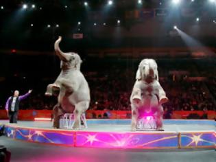 Φωτογραφία για Τέλος οι ελέφαντες σε ένα από τα μεγαλύτερα τσίρκο των ΗΠΑ