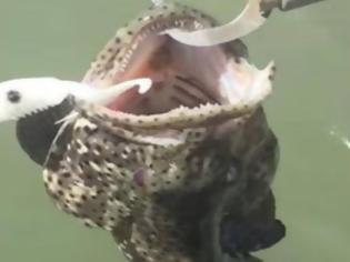 Φωτογραφία για ΣΟΚ: Ανοιξε το στόμα του ψαριού που ψάρεξε, και πετάχτηκε από μέσα ένα... [video]