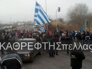 Φωτογραφία για Επιστολή αγροτικών συλλόγων: Αποχή επ΄ αόριστον από το εκτιμητικό έργο των υπαλλήλων του ΕΛΓΑ